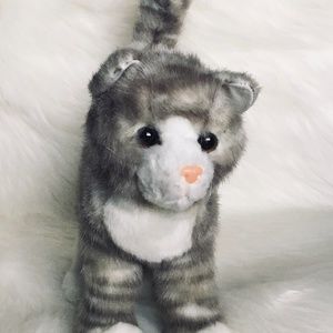 DOUGLAS *Zipper~Gray Tabby Cat*🐱